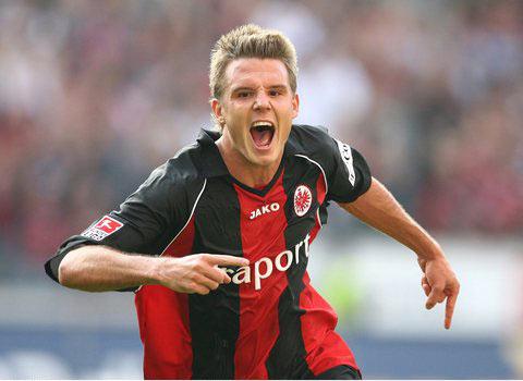 塞鸟不仅是 塞鸟不仅是