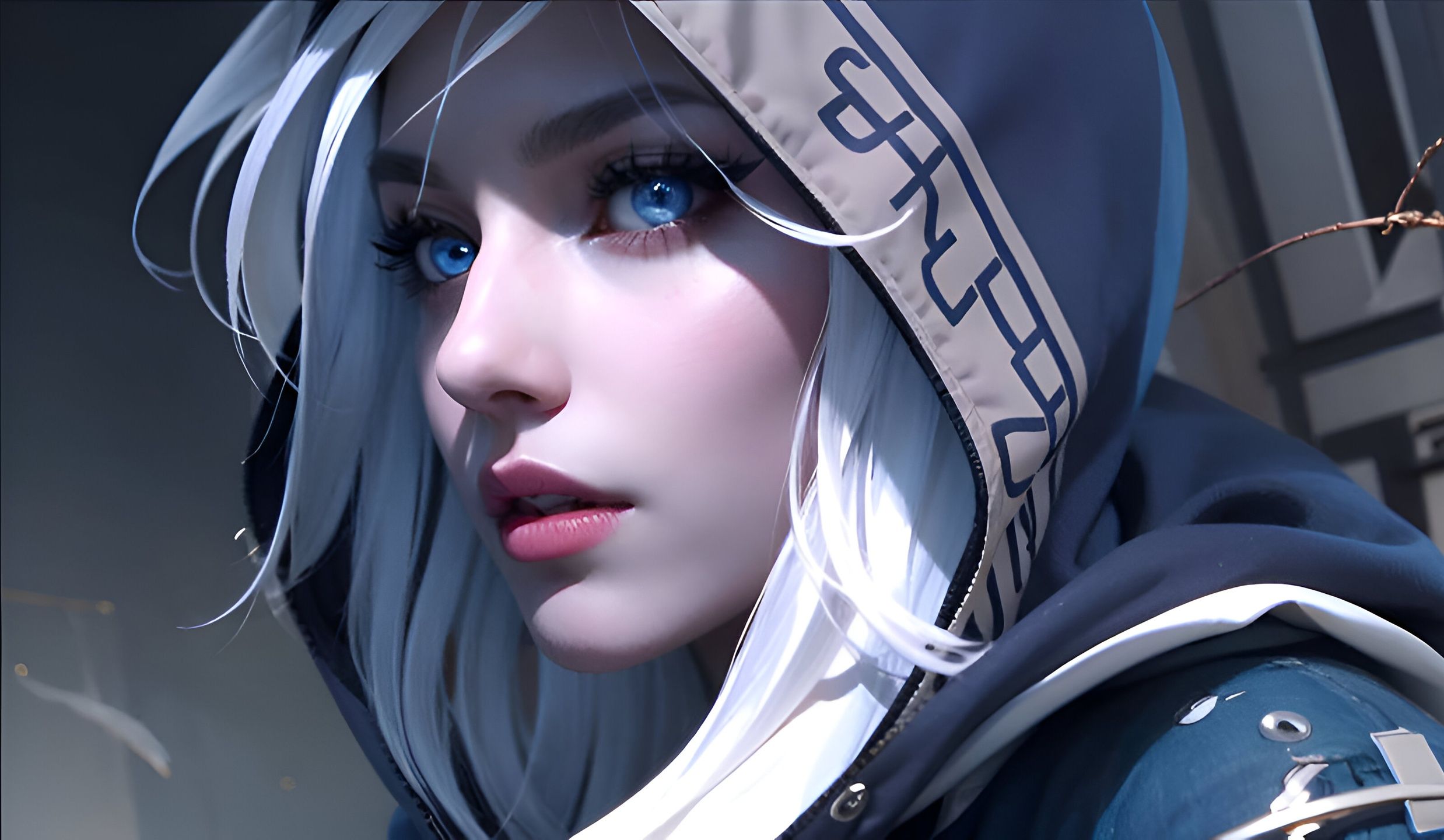 的地方进行 的地方进行