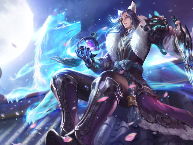 关注度与竞 关注度与竞