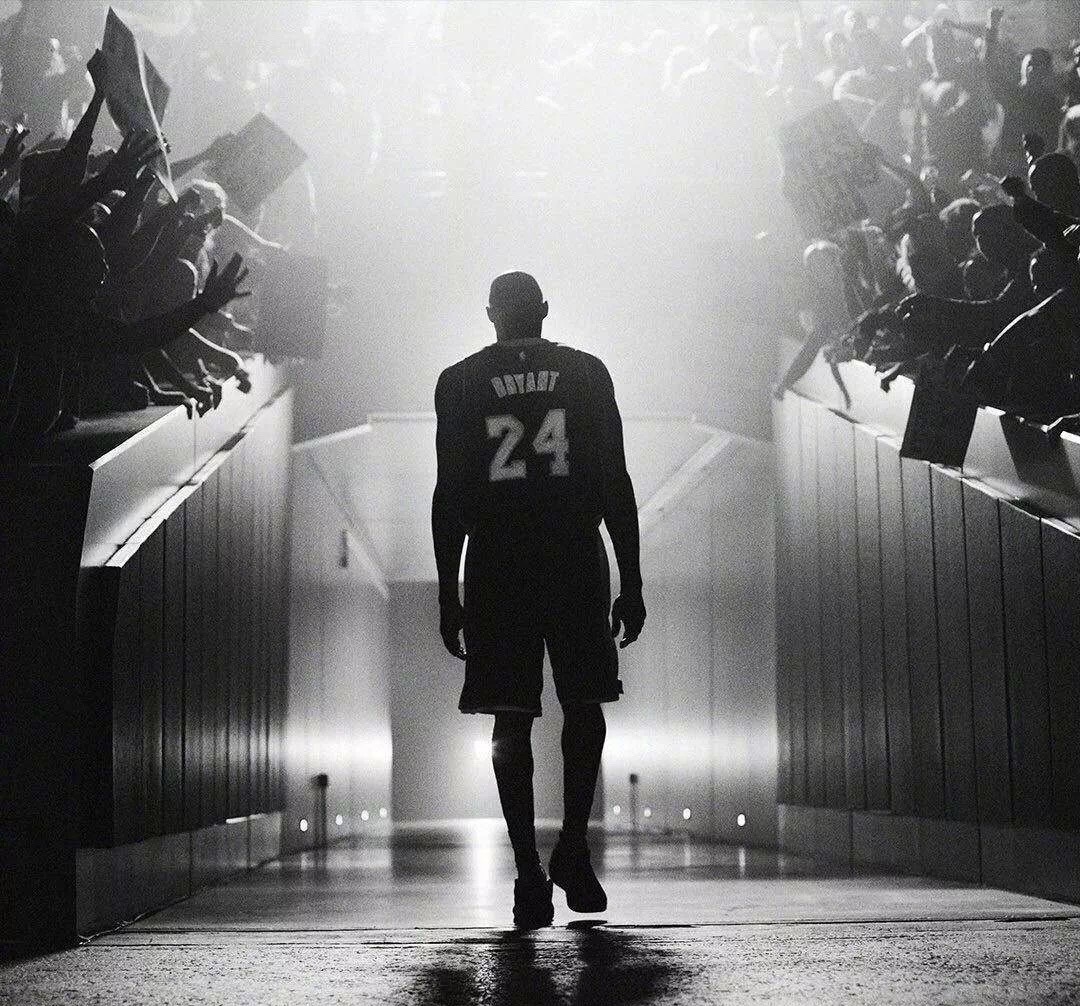 的三层结构 的三层结构